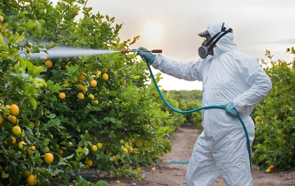 Dangerous Pesticide Levels Found in Common Produce. Credit | Shutterstock