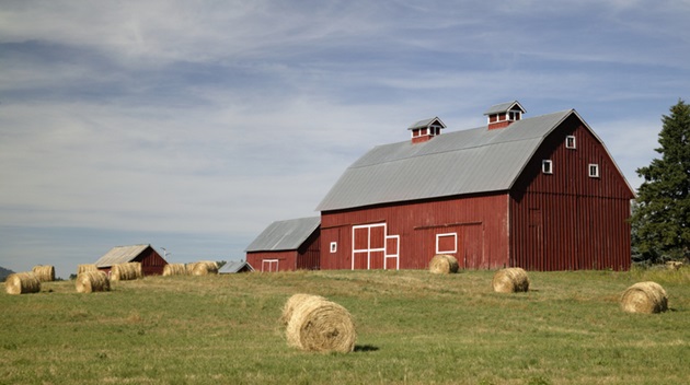Rural Americans Die Younger from Preventable Causes, CDC Study Finds. Credit | Getty Images